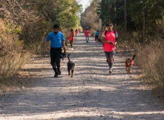Voluntariado para el Centro de Adopciones de Mascotas