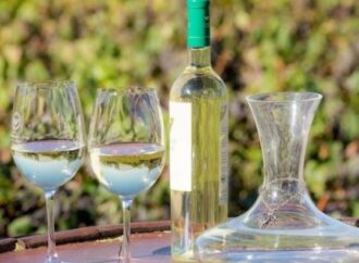Iniciarán las II Jornadas Nacionales de Turismo del Vino
