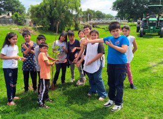 Junto a alumnos de la escuela Nuestra Sra. de Asunción se plantaron 40 árboles en la zona oeste alta