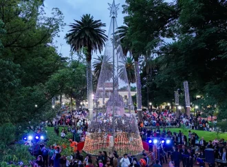 Se encendió el árbol navideño de plaza 9 de Julio
