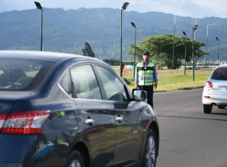 Se controlaron más de 1500 vehículos y se secuestraron 40 durante el operativo navideño