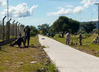 La Municipalidad plantó 70 nuevos árboles en la ruta 28