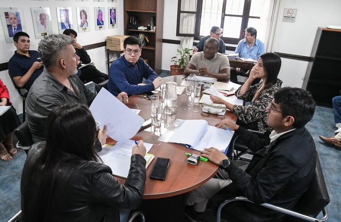 Se llevó a cabo una nueva reunión de la Comisión de Cultura