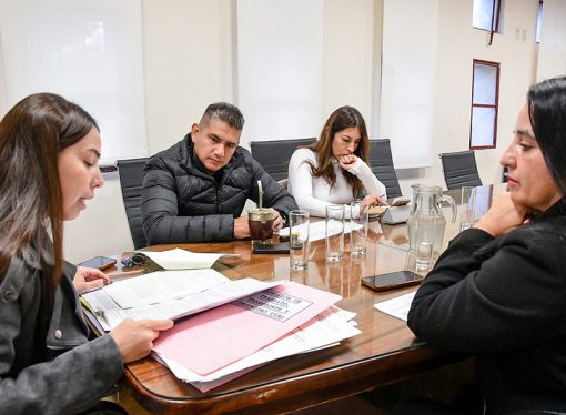 Visto bueno al Proyecto referido a la exención de sanciones para los propietarios frentistas que estacionen frente a sus accesos de garaje