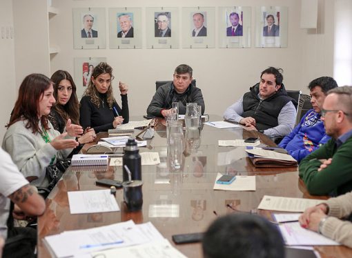 Analizan una iniciativa para prevenir la contaminación acústica aérea y reciben aportes de organizaciones vinculadas al TEA