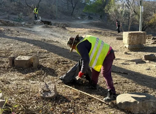 La Municipalidad limpió y despejó el parque Los Lapachos