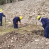 El Parque Los Sauces suma nuevo equipamiento, canchas deportivas y caminerías